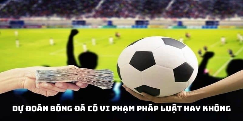 Dự đoán bóng đá có vi phạm pháp luật hay không?