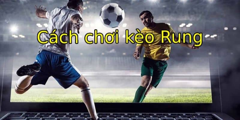 Kinh nghiệm khi nào nên chọn cửa hiệu quả