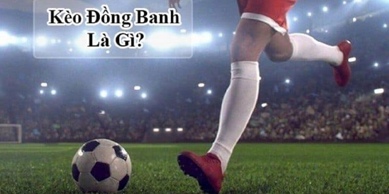 Kinh nghiệm soi kèo đồng banh hiệu quả