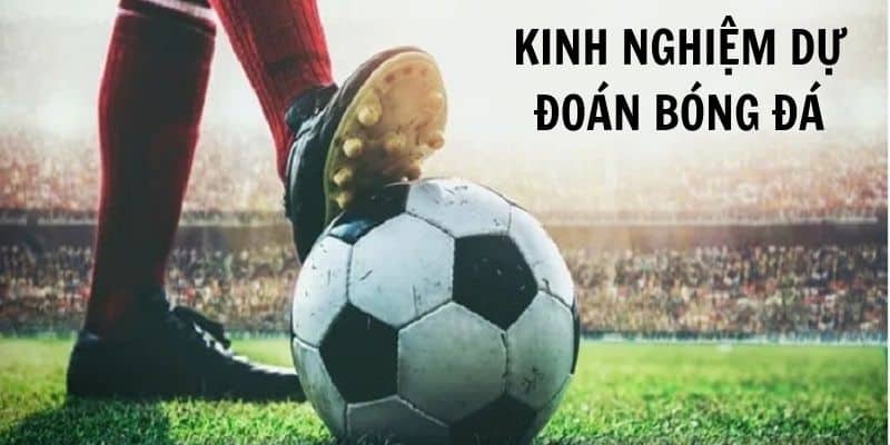 Những kinh nghiệm dự đoán bóng đá chuẩn 