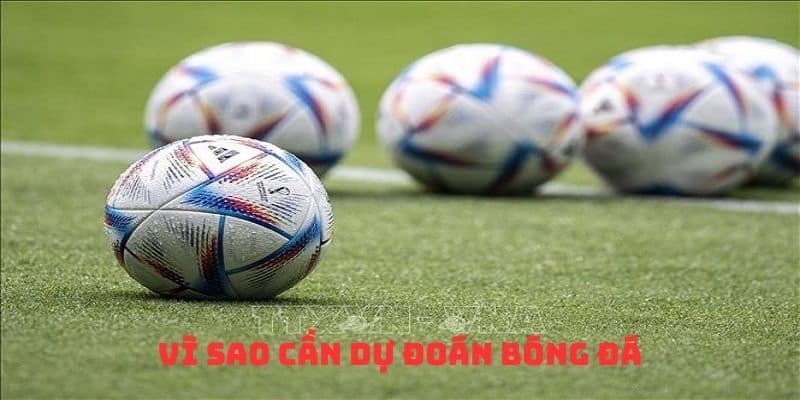 Lý do cần dự đoán bóng đá là gì?