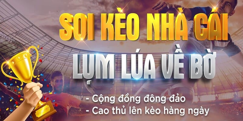 Phương pháp soi kèo cực chuẩn tại trang Kèo Nhà Cái