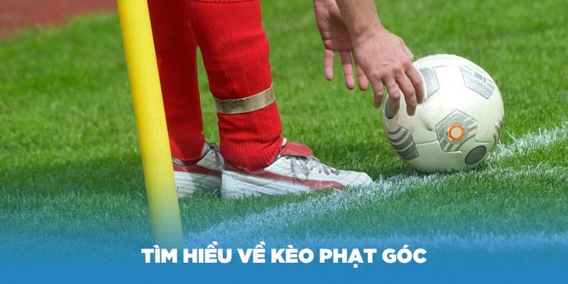 Tìm hiểu về kèo phạt góc theo cách dễ hiểu