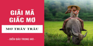 mơ thấy trâu có ý nghĩa gì