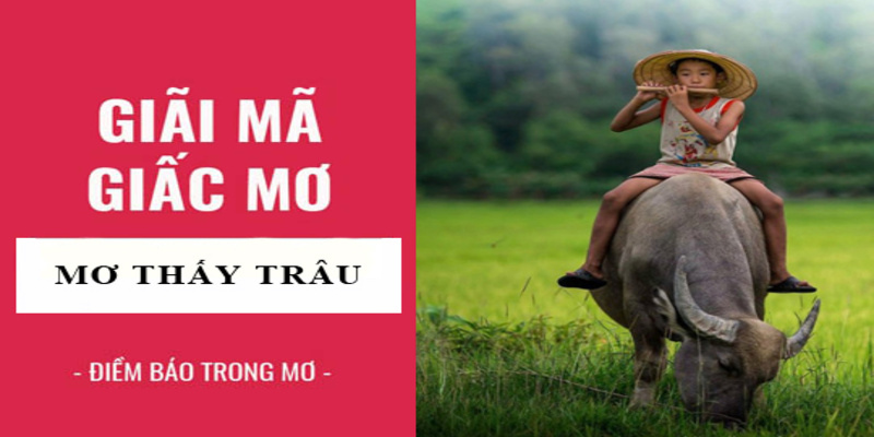 mơ thấy trâu có ý nghĩa gì