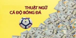 Mọi người muốn chốt kèo hiệu quả cần nắm rõ thuật ngữ cá độ bóng đá
