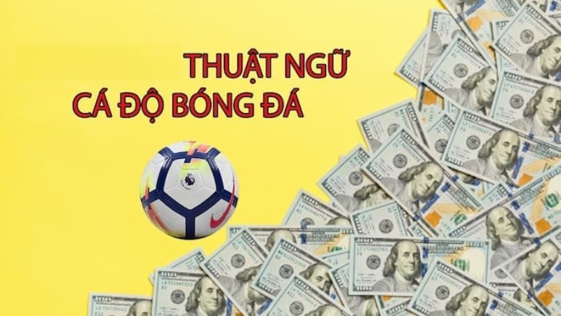 Kèo Châu Á (Asian Handicap): Nền tảng cá cược bóng đá